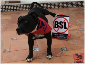 Dog behavior depends on genetics, environment and early learning regardless of the breed. Breed Specific Legislation is discriminatory and ineffective