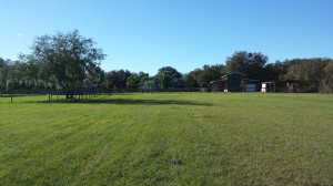 The Canine Behavior Center is set on 23-fenced acres perfect for dog training