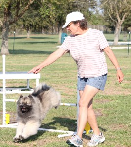 Dog Sports provide an outlet for energy.