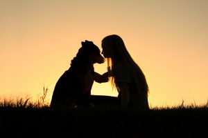 Empathy grounds pet professionals in reality and feeling, combined with scientific objectivity, that can lead to good decision making. Photo © Can Stock Photo Inc