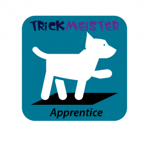 TrickMeister Apprentice 