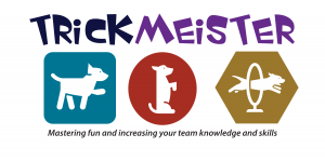 TrickMeister - Mastering fun and increasing your team knowledge and skills
