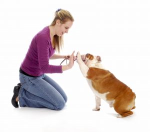 Pet professionals would do well to keep in mind that human clients might also be struggling with learning new skills. Graphic © Can Stock Photo