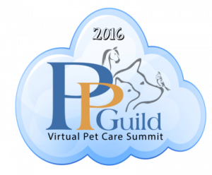 Virtual Summit Logo PNG