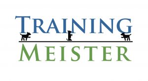 Training Meister - Increasing your team knowledge and skills