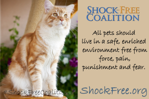 Shock Free Coalition Social Media Graphics_007