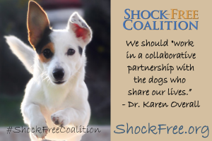 Shock Free Coalition Social Media Graphics_012