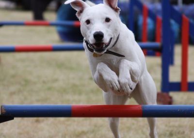 Agility with a Difference