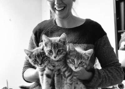 Teaching Students, Training Kittens