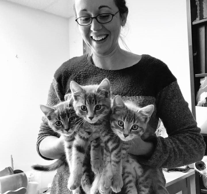 Teaching Students, Training Kittens