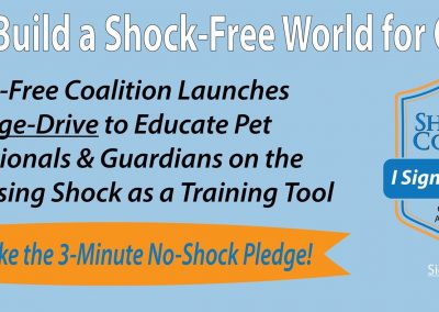 Building a Shock-Free World for Pets