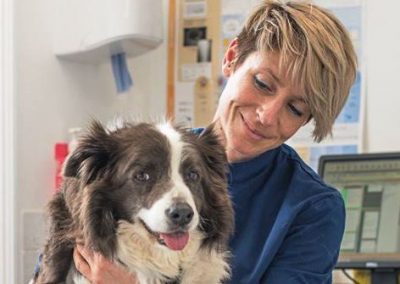 BARKS Podcast with Dr. Hannah Capon of Canine Arthritis Management: December 21, 2020