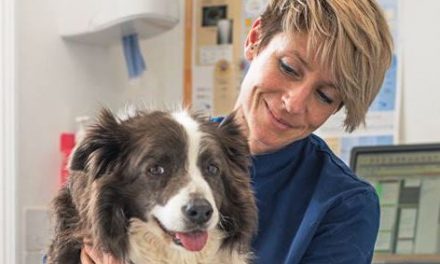 BARKS Podcast with Dr. Hannah Capon of Canine Arthritis Management: December 21, 2020