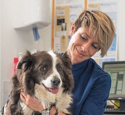 BARKS Podcast with Dr. Hannah Capon of Canine Arthritis Management: December 21, 2020