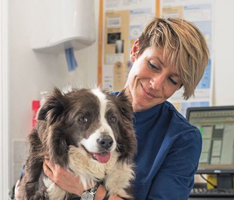 BARKS Podcast with Dr. Hannah Capon of Canine Arthritis Management: December 21, 2020