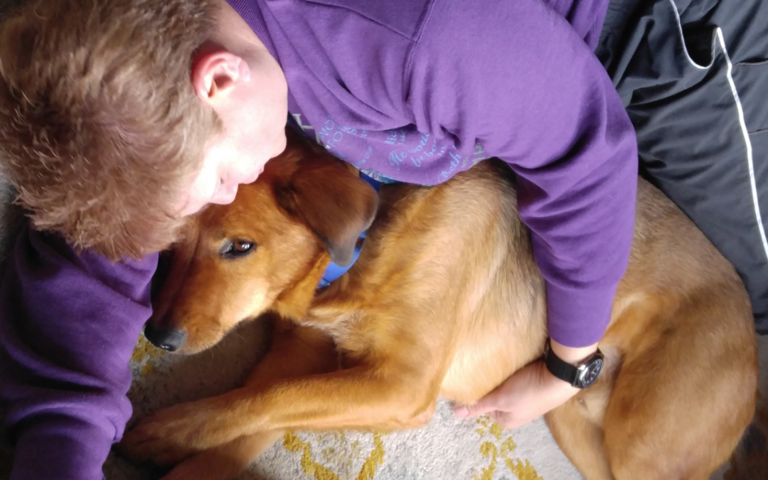 Phoenix Blog Competition: Blake’s Story – Adopting a Prison Program Dog