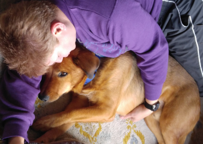 Phoenix Blog Competition: Blake’s Story – Adopting a Prison Program Dog