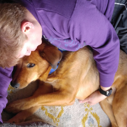 Phoenix Blog Competition: Blake’s Story – Adopting a Prison Program Dog