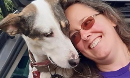 BARKS Podcast with Julie Brewer of Little Tykes Dog Hub: January 8, 2021