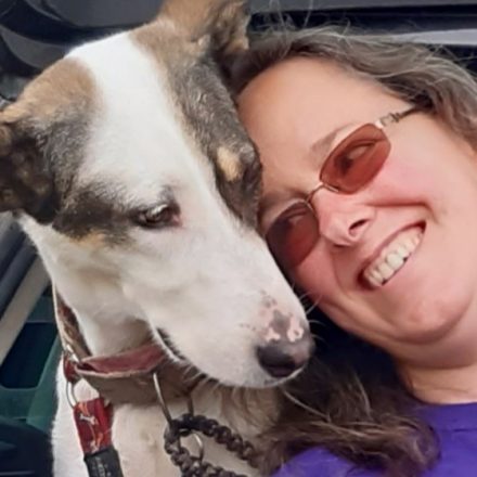 BARKS Podcast with Julie Brewer of Little Tykes Dog Hub: January 8, 2021