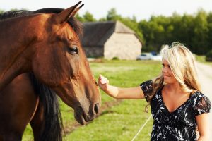 bitless horse riding training