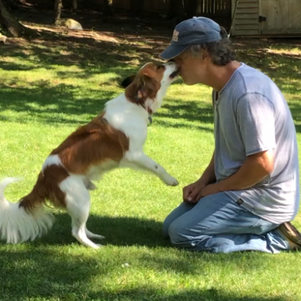 BARKS Podcast with Ken MacLeod of My Positive Pup: June 4, 2021