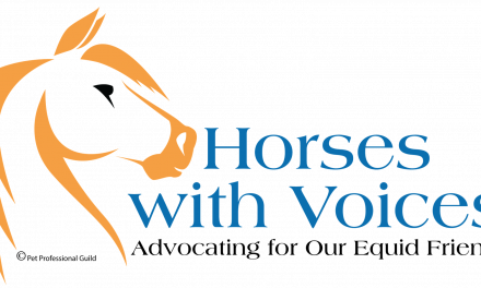 Pet Professional Guild Launches ‘Horses with Voices’ Initiative