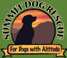 BARKS Podcast with Emily Wolf and Libby Felts of Summit Dog Rescue