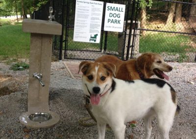 Dog Parks: The Good, the Bad, and the Reality