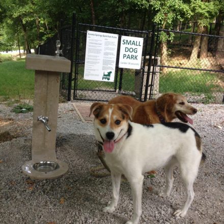 Dog Parks: The Good, the Bad, and the Reality