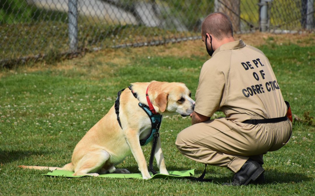 Saving Detainees and Dogs, One Life at a Time