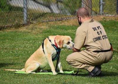 Saving Detainees and Dogs, One Life at a Time