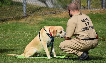 Saving Detainees and Dogs, One Life at a Time