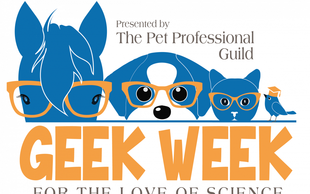 Meet Geek Week 2021 – The Sequel