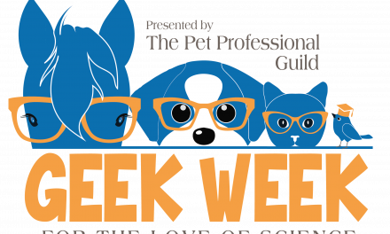 Meet Geek Week 2021 – The Sequel