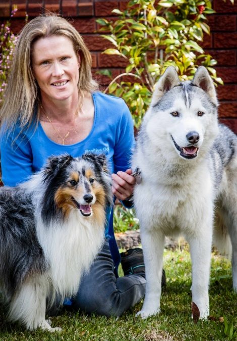 BARKS Podcast with Louise Ginman of APDT Australia: October 3, 2020