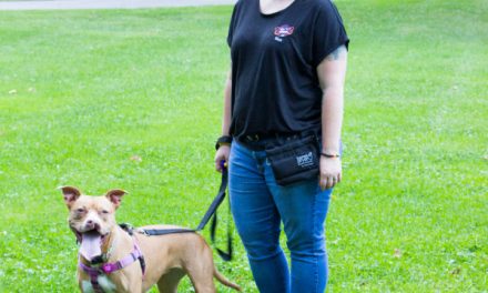 BARKS Podcast with Valarie Ross from Sits ‘n Wiggles R+ Dog Training: February 18, 2022