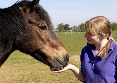 Developing Connections with Our Horses