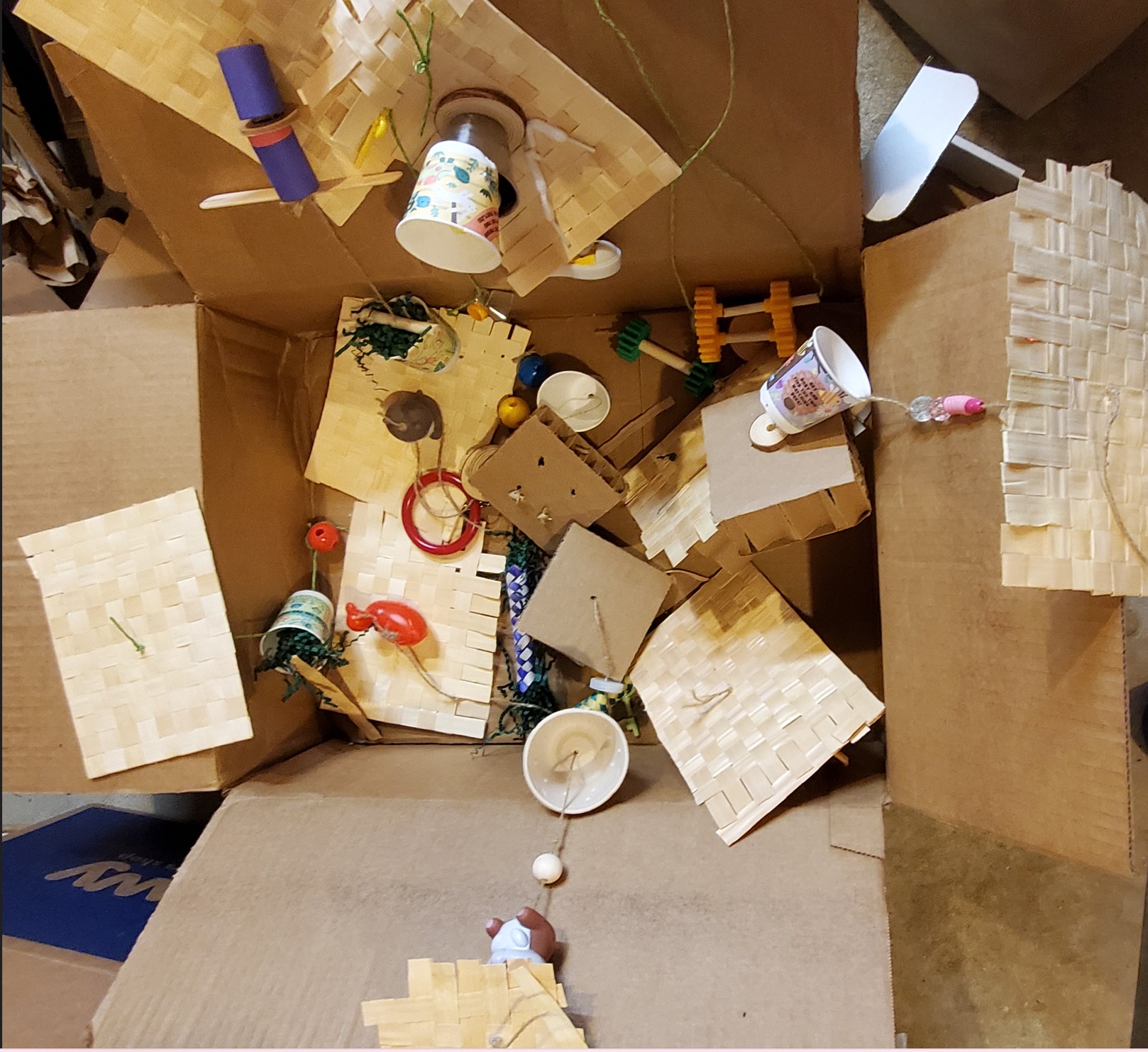 Rhode Island Parrot Rescue donation box getting filled