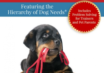 Setting Your Dog Up for Success