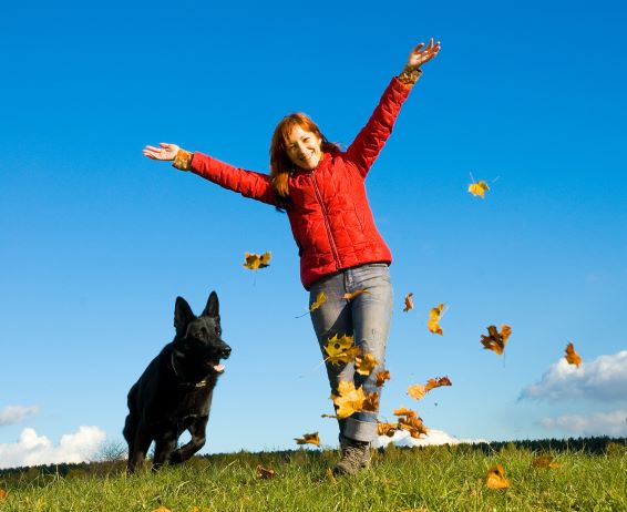 Black dog running through leaves with female owner