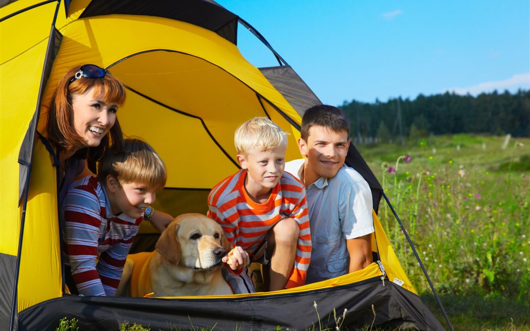 Ask the Experts: Children and Dog Training