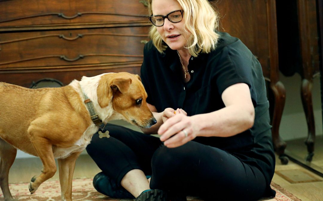How Writing a Book on Canine Behavior Changed My Life