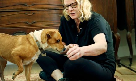 How Writing a Book on Canine Behavior Changed My Life